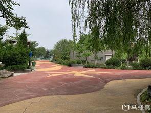 西安世博园爆料视频最新,揭秘精彩瞬间与幕后故事