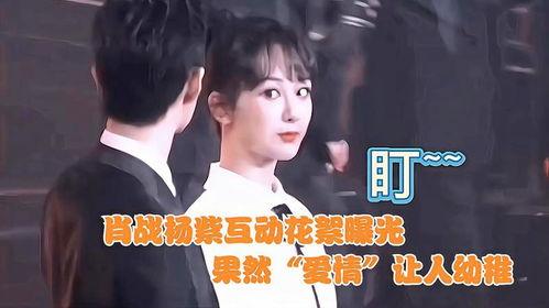 肖战杨紫最新爆料新消息,最新爆料揭秘合作背后的故事