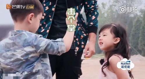 泡芙最新爆料,揭秘娱乐圈背后的惊人真相