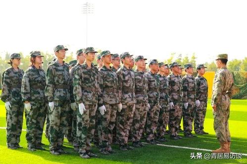 最新军训爆料,严酷训练与青春汗水交织的蜕变之旅