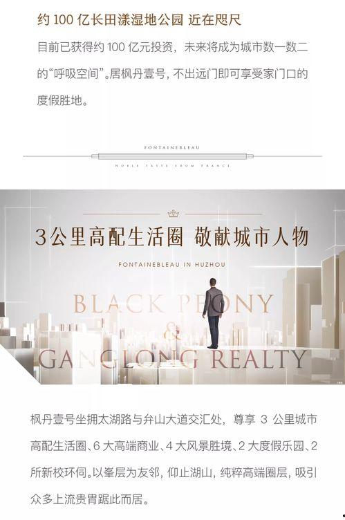 枫丹爆料最新新闻,最新新闻揭秘，带你领略时事风云