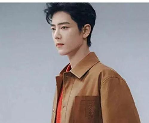 肖战新闻最新爆料,最新爆料揭露惊人内幕