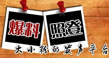 重庆魏先生最新爆料,揭秘某神秘事件背后真相